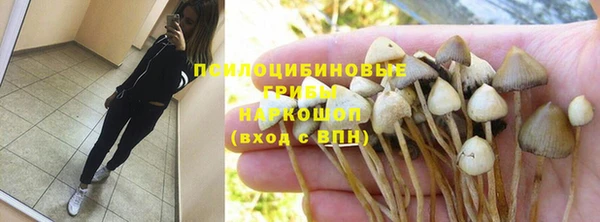 герыч Алексин