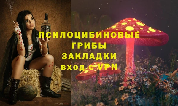 герыч Алексин