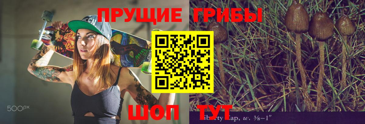 Карабулак  Галлюциногенные грибы мухоморы  Вход с VPN 